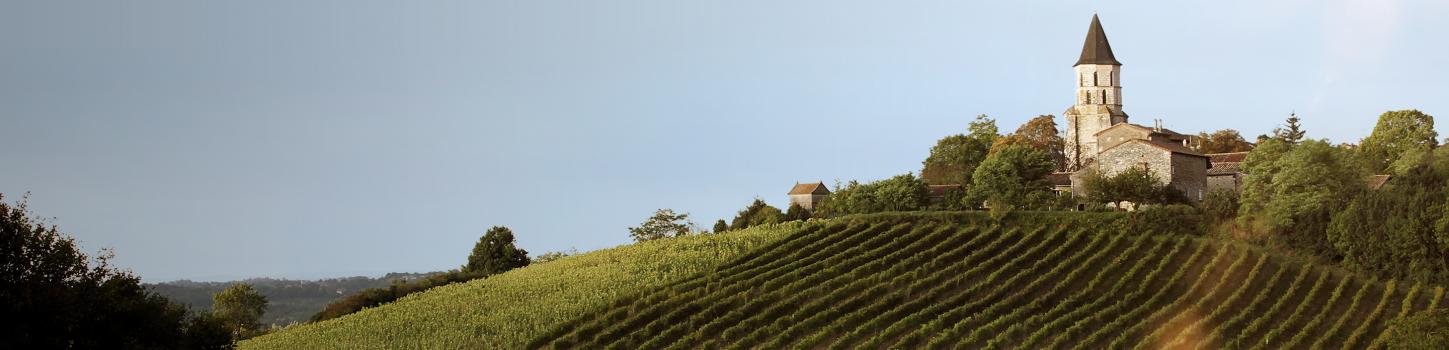 Visite oenotourisme