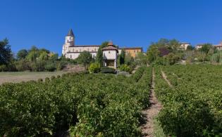 Guide des vins du Tarn et de Gaillac 