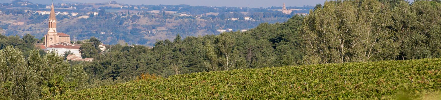 Les vins côtes du Tarn Cunac - Maison Labastide - Vins de Gaillac 